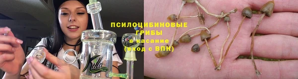 крисы Вязьма
