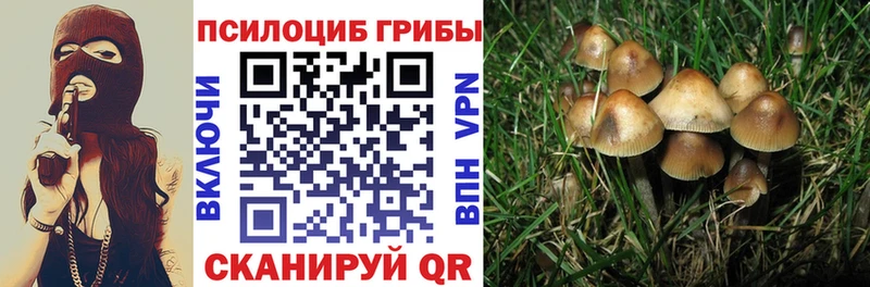 Галлюциногенные грибы Psilocybine cubensis  Томмот 